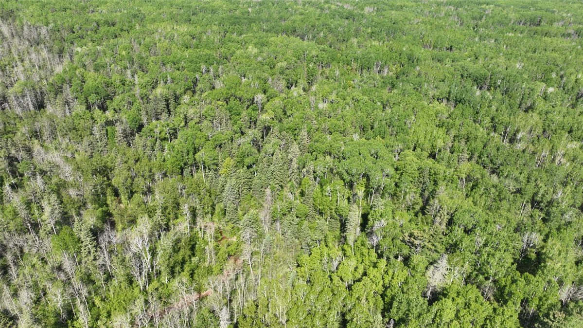 1640 County Road W, Superior WI 54880 - Land house for sale - MLS #1602205 - image14
