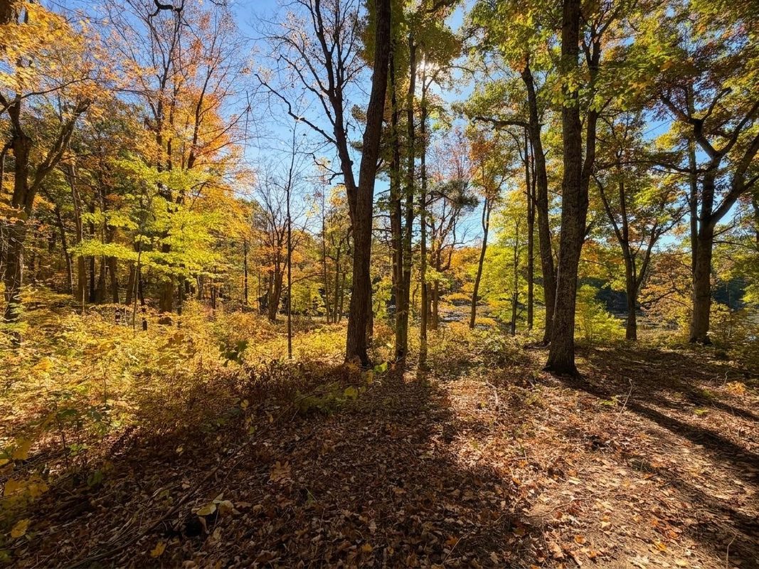 Lot 78, 79 Loons Landing Road, Weyerhaeuser WI 54895 - Land house for sale - MLS #1605876 - image4
