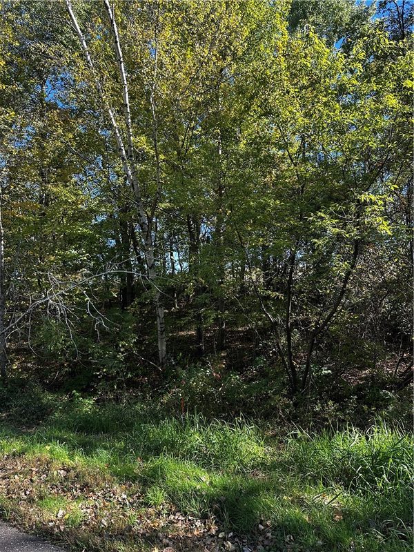 Lot 2 180th Street, Chippewa Falls, WI — photo 33