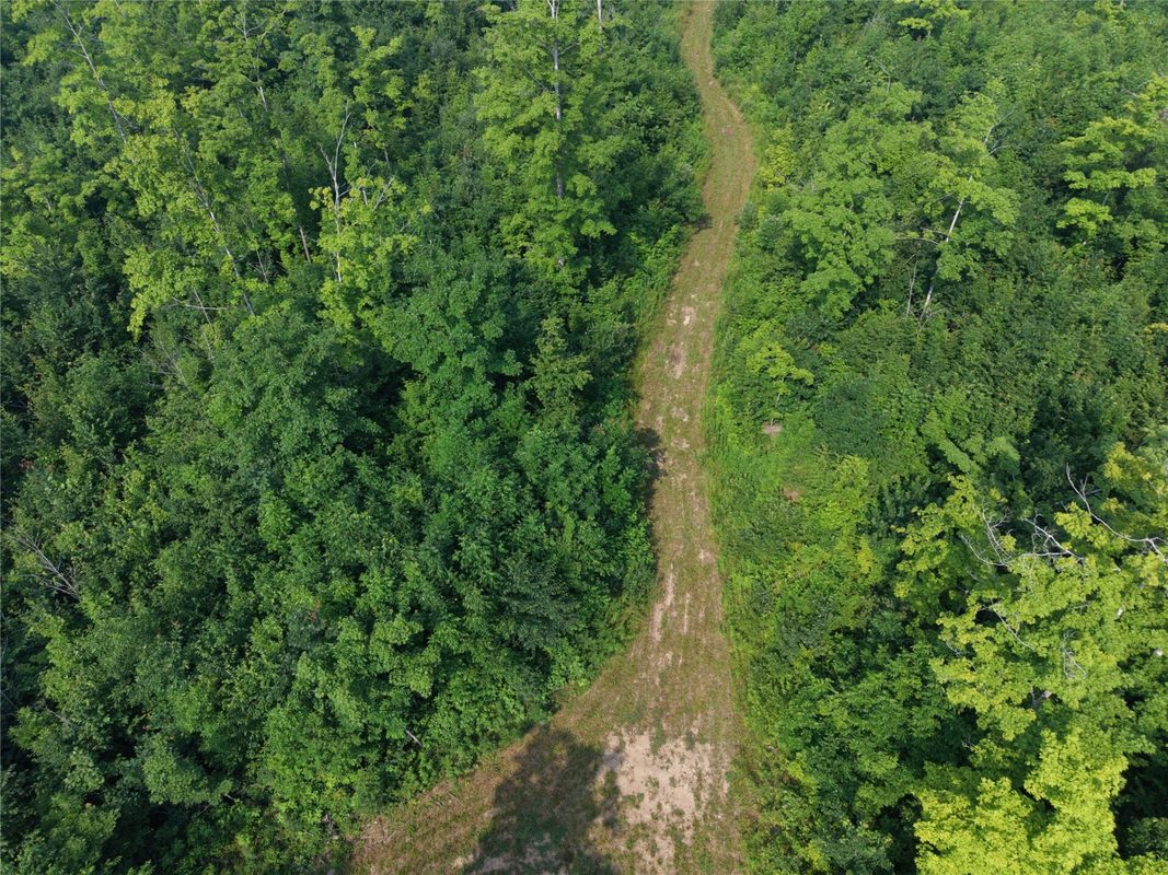 On County Road H, Radisson WI 54867 - Land house for sale - MLS #1603350 - image22