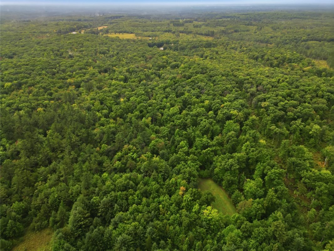 9025 County Road H, Fairchild WI 54741 - Residential house for sale - MLS #1604944 - image44