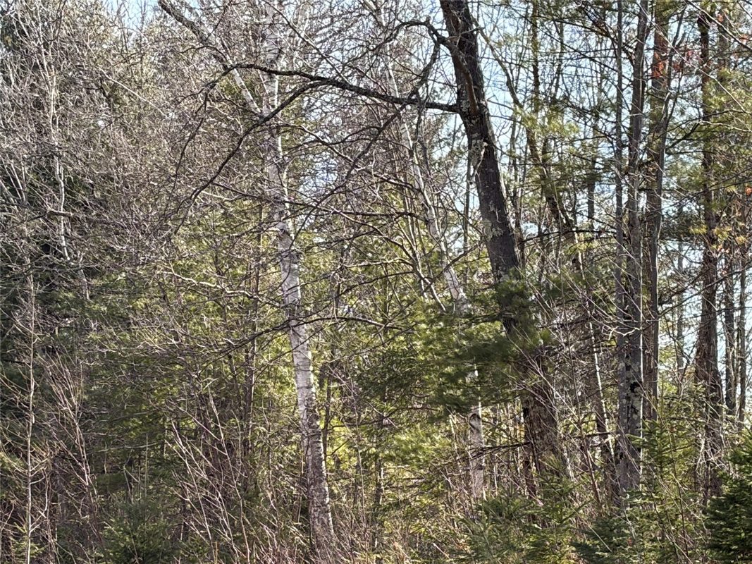 ON State Highway 70, Park Falls, WI