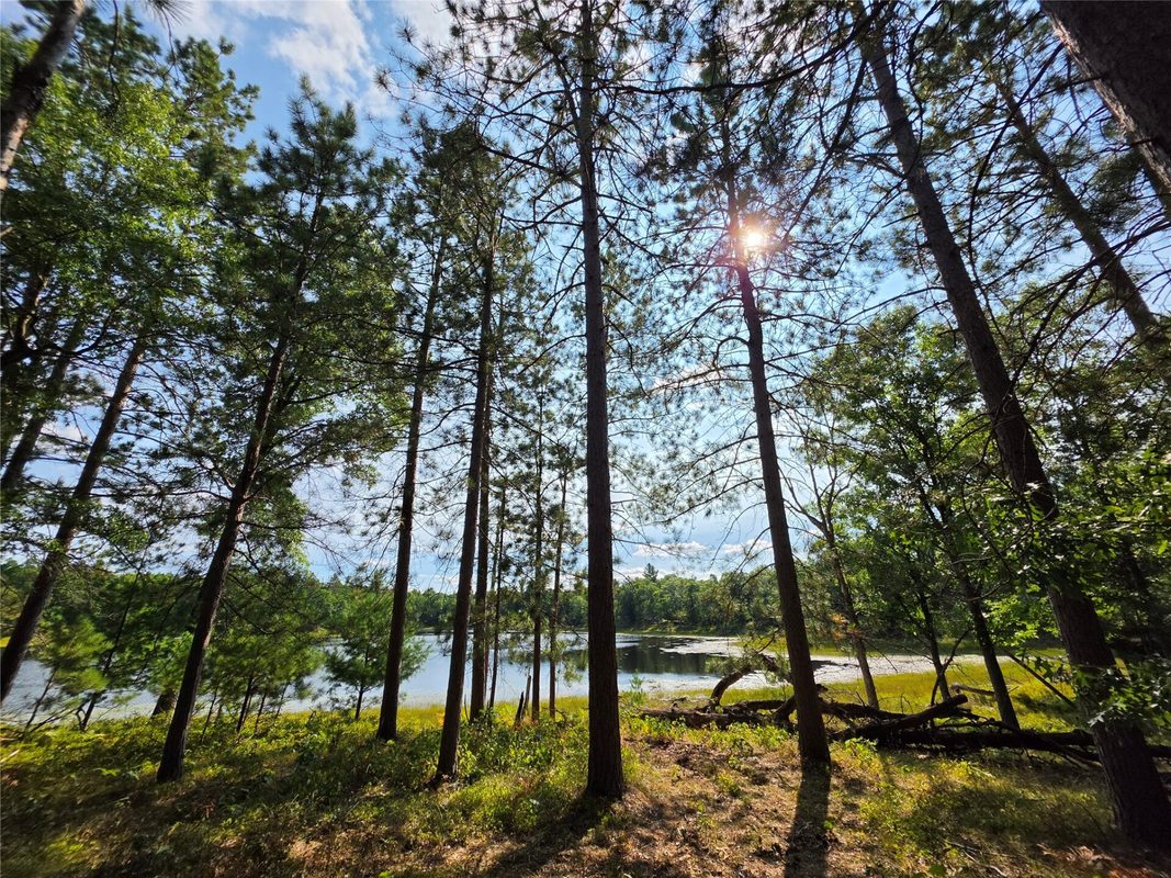 xxx County Road H, Danbury WI 54830 - Land house for sale - MLS #1600068 - image2