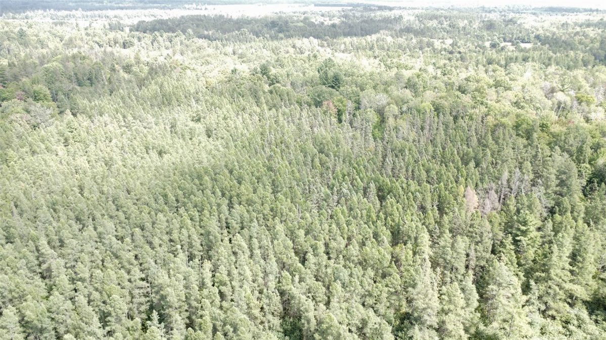 900 County Road A, Tomahawk WI 54487 - Land house for sale - MLS #1604619 - image53