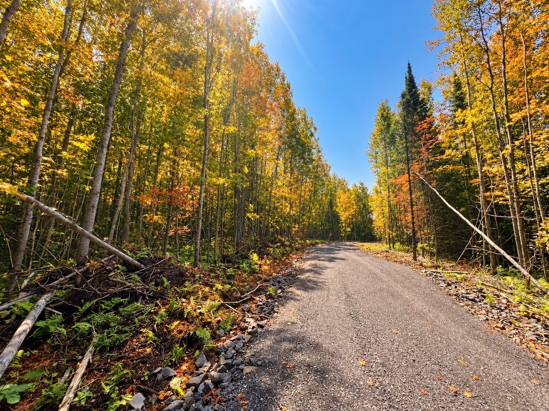 Parcel 6 County Road A, Solon Springs WI 54873 - Land house for sale - MLS #1602905 - image6
