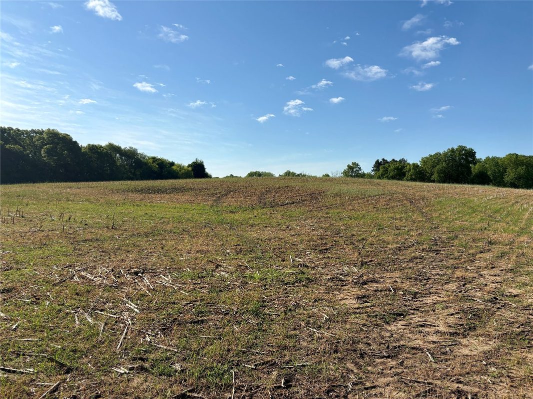 15.01 Acres 160th Avenue, Maiden Rock WI 54750 - Land house for sale - MLS #1604580 - image29