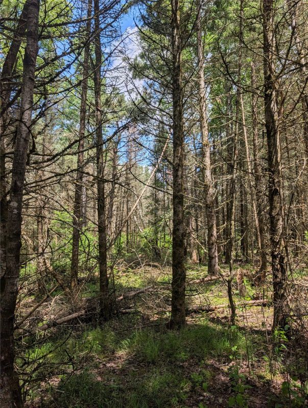 Lot 4 Main Road, Springbrook WI 54875 - Land house for sale - MLS #1602445 - image16