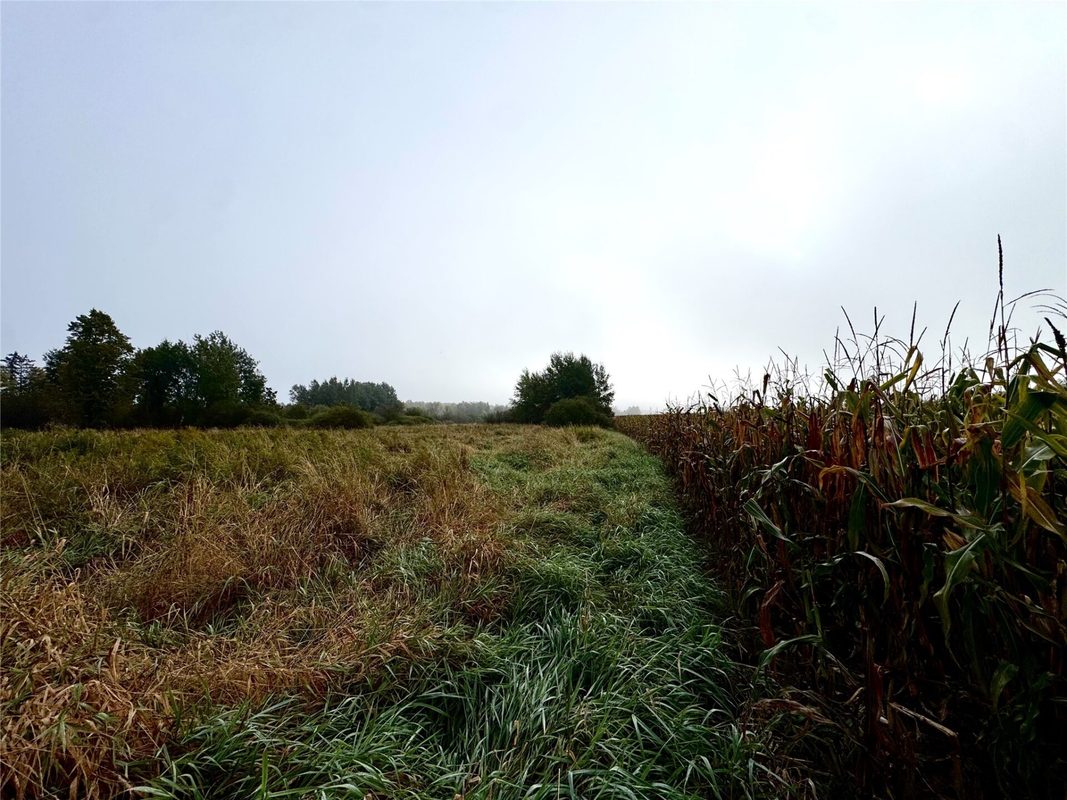 000 Miller Avenue, Owen WI 54460 - Land house for sale - MLS #1605509 - image15