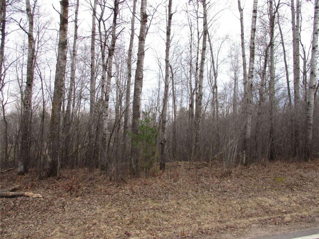 Lot #24 28 11/16 Street, Birchwood WI 54817 - Land house for sale - MLS #1599869 - image4