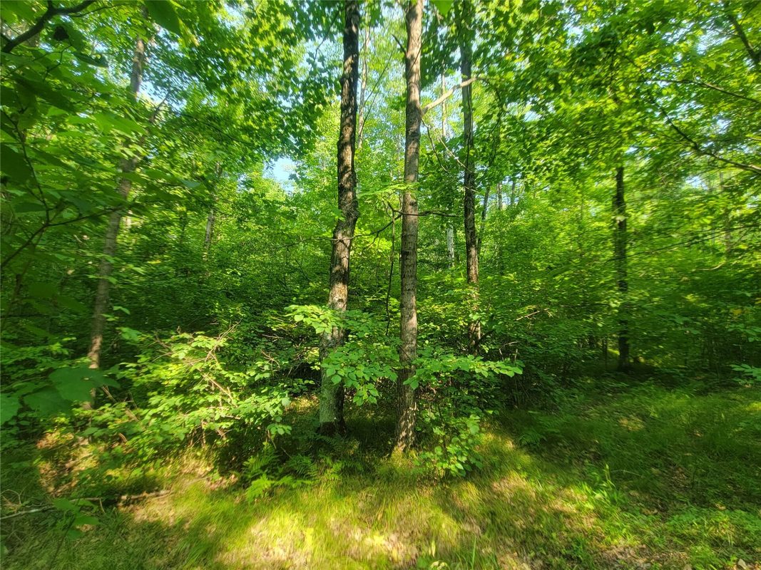 W4427 Spring Road, Prentice WI 54556 - Residential house for sale - MLS #1604416 - image32