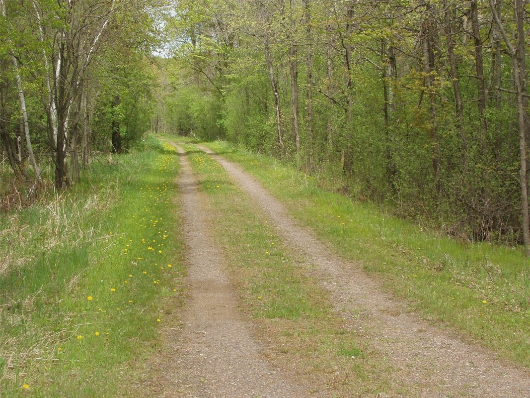 W9002 Moonshine Alley, Catawba WI 54514 - Residential house for sale - MLS #1601811 - image41