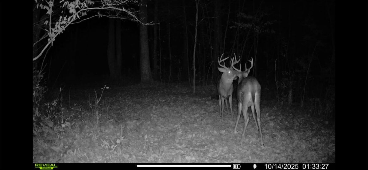 0 County Highway C, Rice Lake WI 54868 - Land house for sale - MLS #1605929 - image17