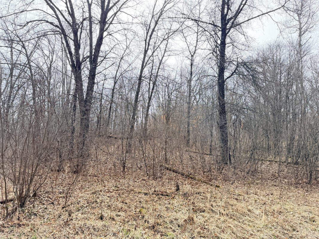 Lot 3 Big Lake Drive, Osceola WI 54020 - Land house for sale - MLS #1599897 - image20