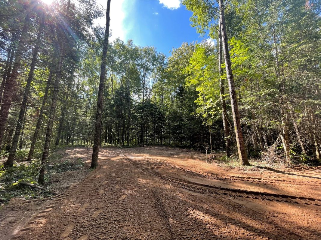 Lot 2 Fadness Road, Winter WI 54896 - Land house for sale - MLS #1605242 - image10