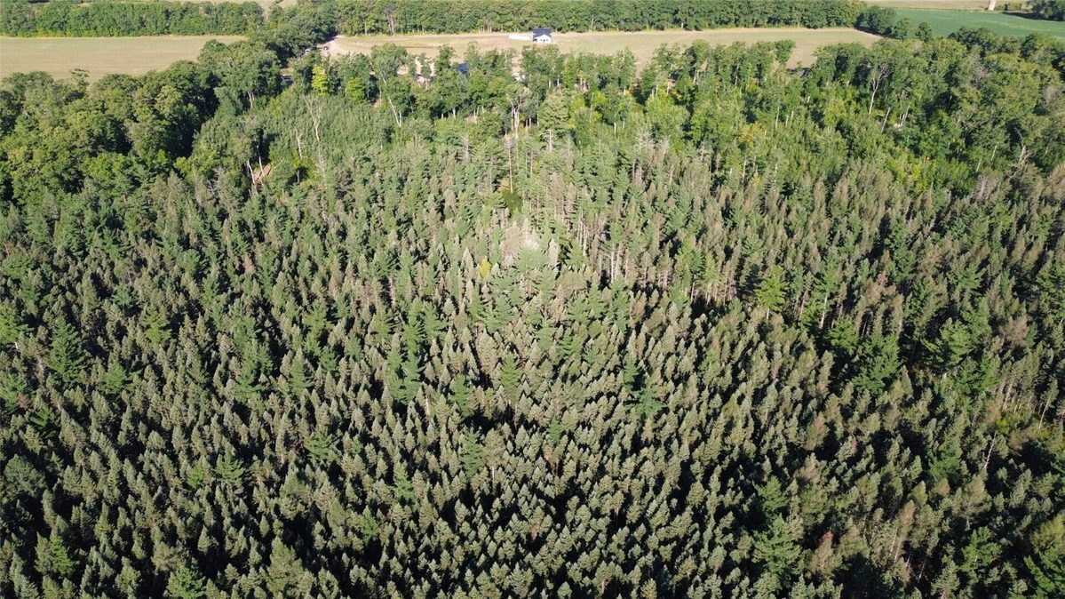 0000 Sand Lake Road, Stone Lake WI 54876 - Land house for sale - MLS #1604299 - image13