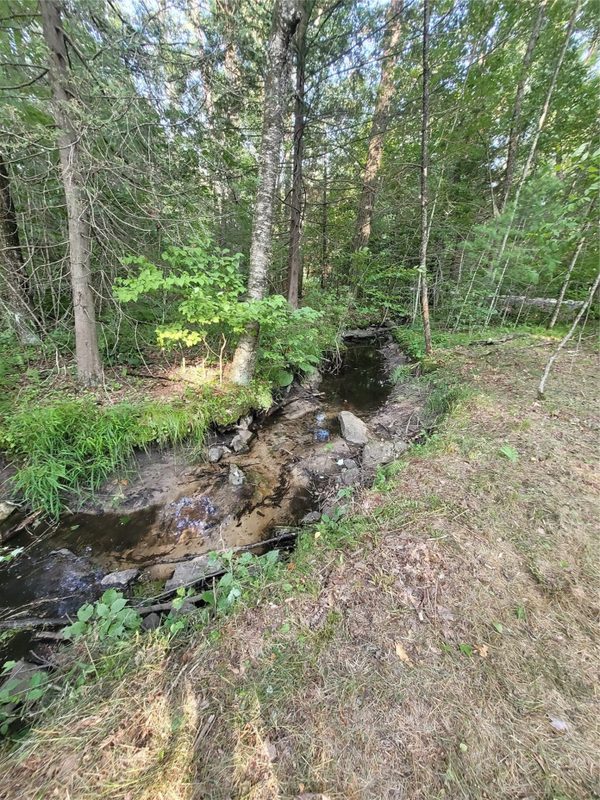 N900 Resewood Avenue, Neillsville WI 54456 - Land house for sale - MLS #1597245 - image50