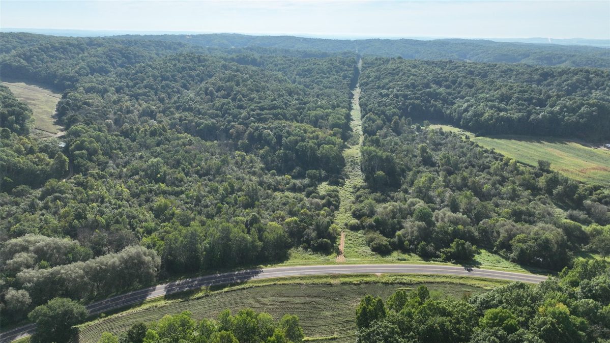 XX County Rd O, Boyceville WI 54725 - Land house for sale - MLS #1604881 - image14