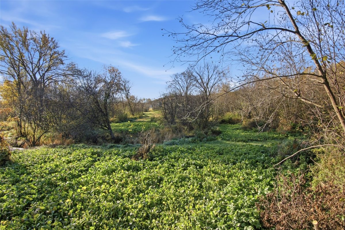 E1995 950th Avenue, Boyceville WI 54725 - Land house for sale - MLS #1606129 - image50