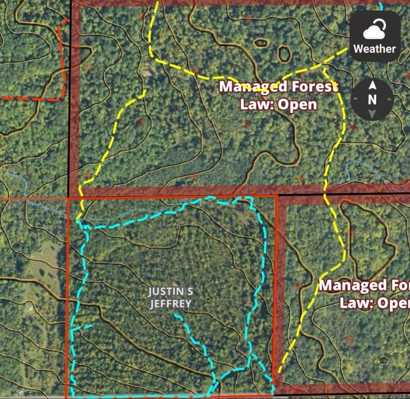 XXX Eckel Lane, Couderay WI 54835 - Land house for sale - MLS #1603143 - image10