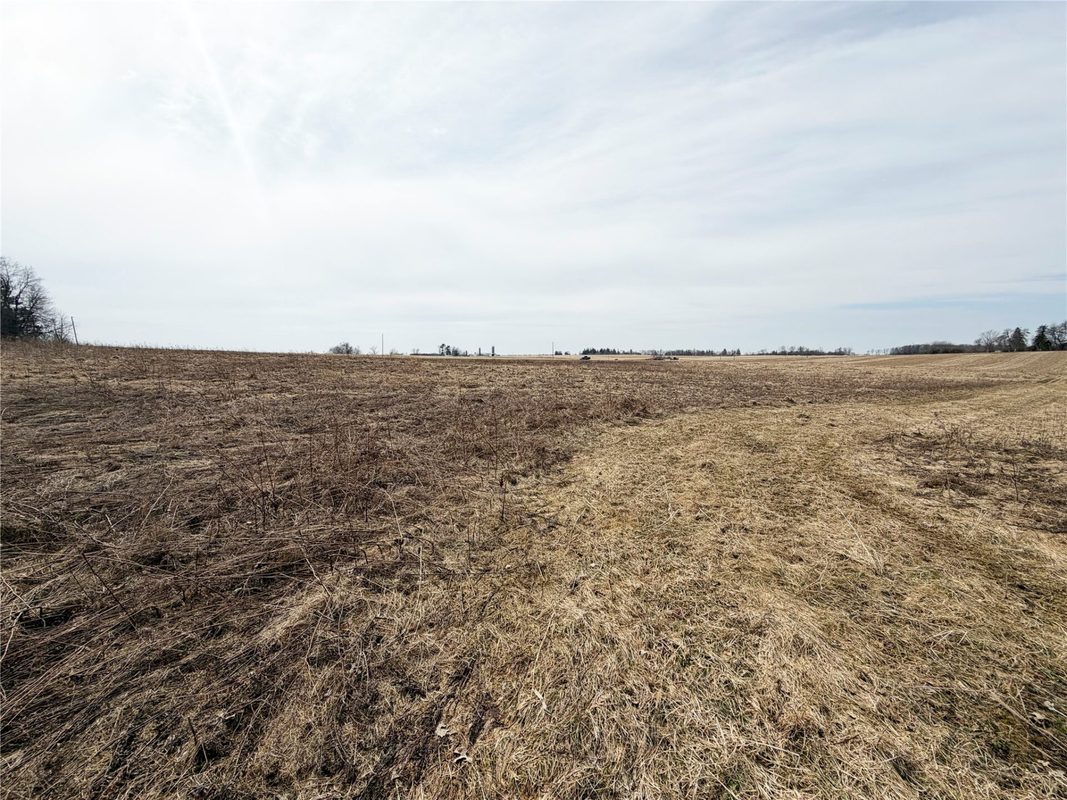 Land at 0 15 1/2 Avenue, Almena, WI 54805 — photo 6