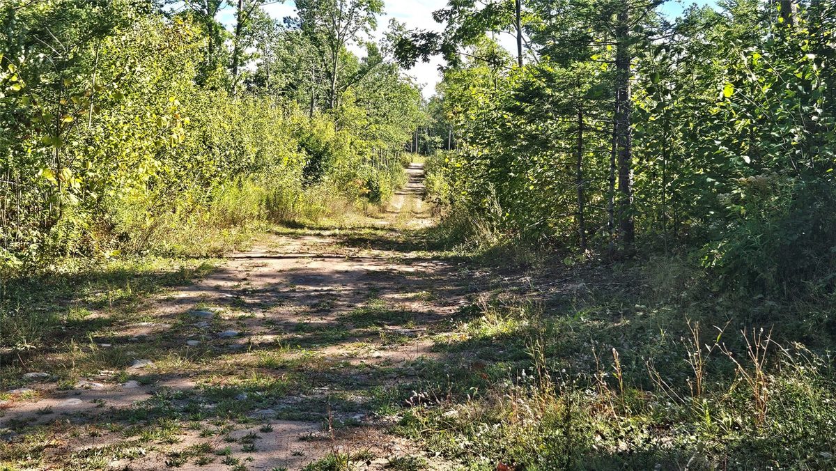 1-7 Larson Road, Hayward WI 54843 - Land house for sale - MLS #1605167 - image10