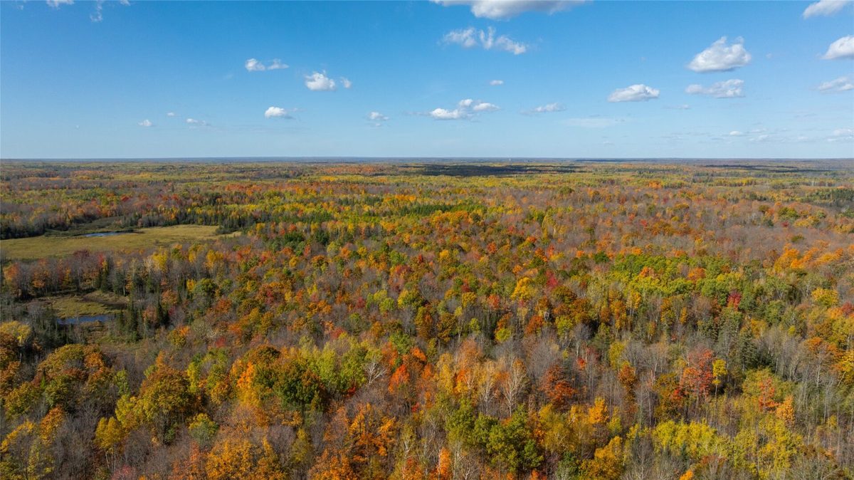 W2621 Goetzke Rd, Prentice WI 54556 - Land house for sale - MLS #1605822 - image3