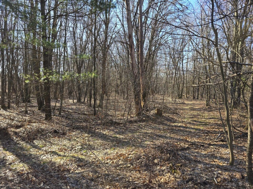 Lot 2 Buck Rub Road Eau Claire WI 54703 — photo 11