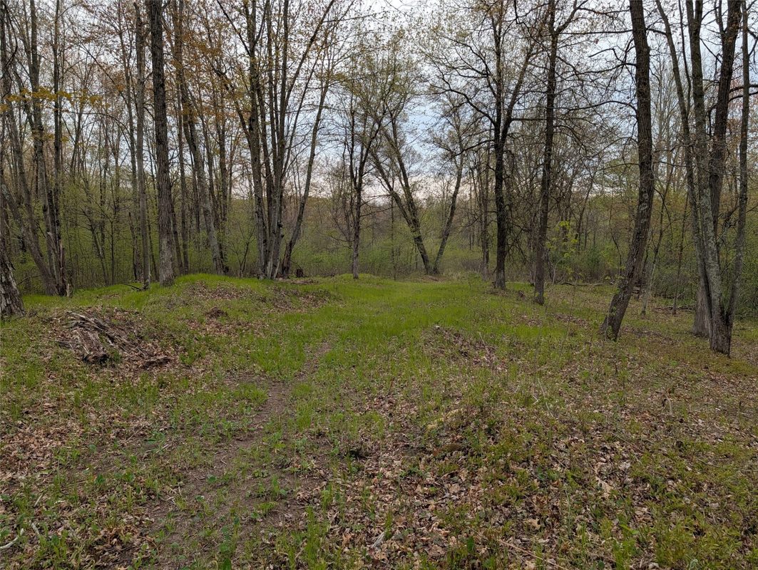 15573 Highway 64, Bloomer WI 54724 - Land house for sale - MLS #1601231 - image4