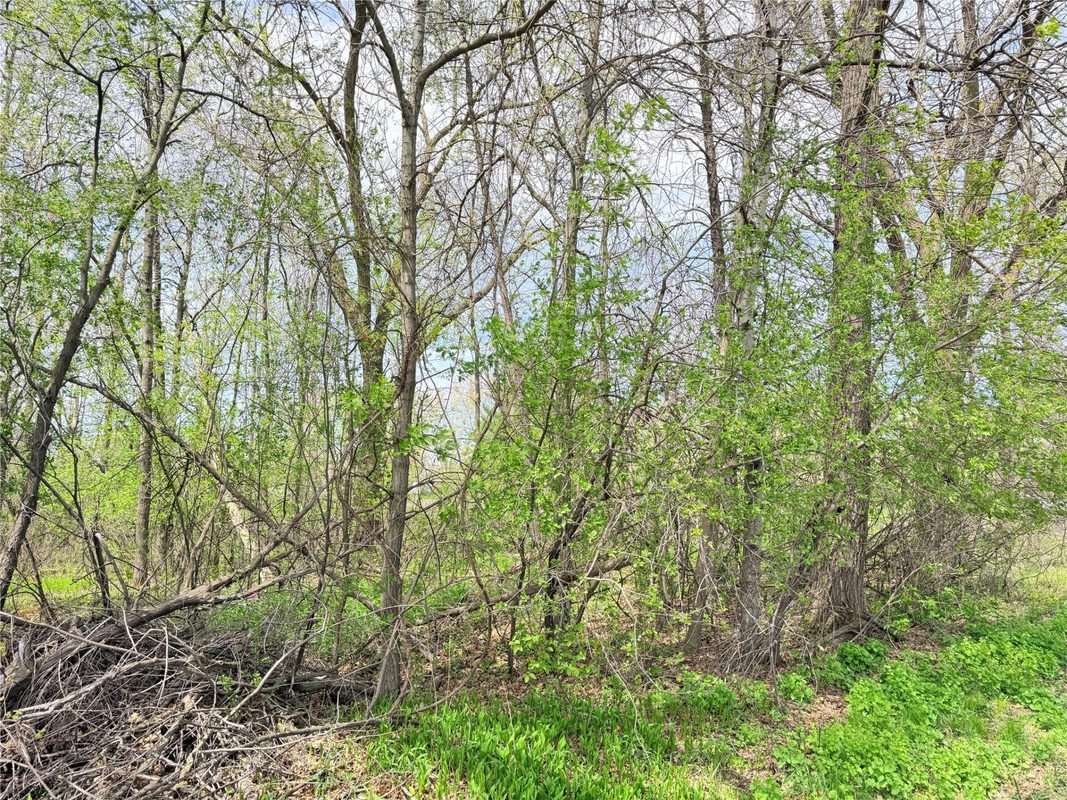 Lot 11 27th Court, Chippewa Falls WI 54729 - Land house for sale - MLS #1593541 - image14