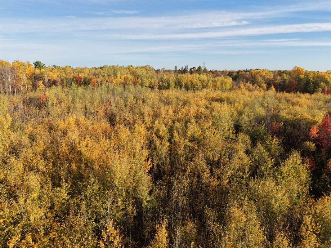 On County Highway W, Winter WI 54896 - Land house for sale - MLS #1605419 - image28