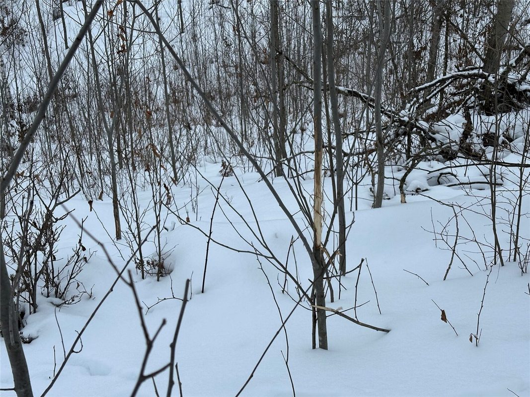 TBD 10 Acres Antler Lake Drive Milltown WI 54858 — photo 19