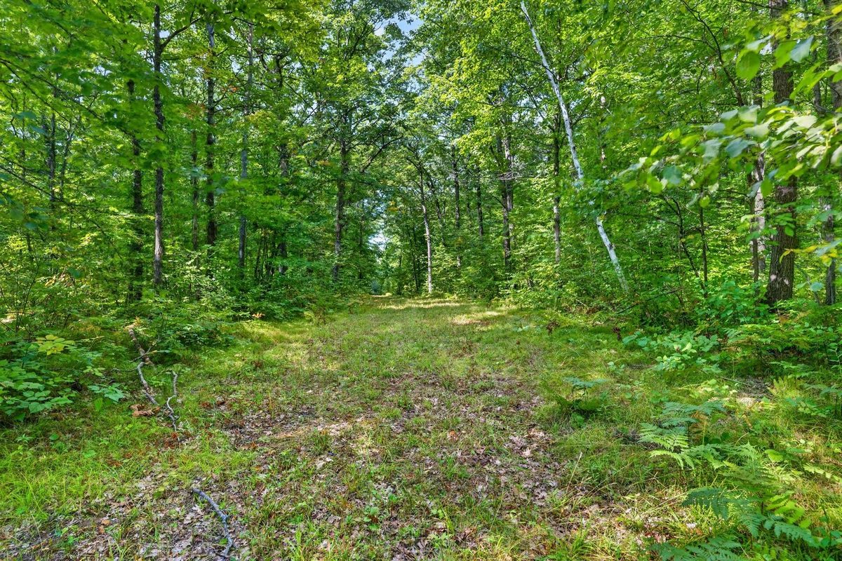 Block 2 Comet Road, Exeland WI 54835 - Land house for sale - MLS #1597542 - image12