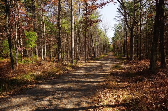 Lot 6 County Rd J, Neillsville WI 54456 - Land house for sale - MLS #1606165 - image1
