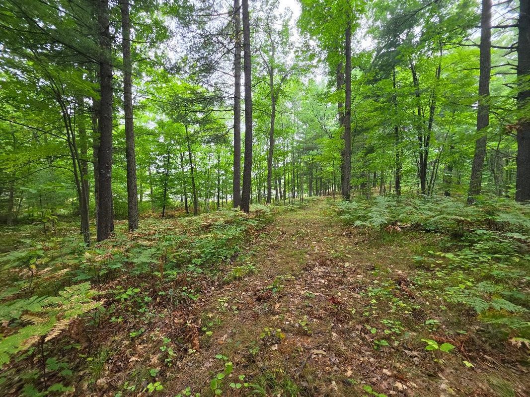 00 10 1/2-28 1/2, Barronett WI 54813 - Land house for sale - MLS #1604830 - image37