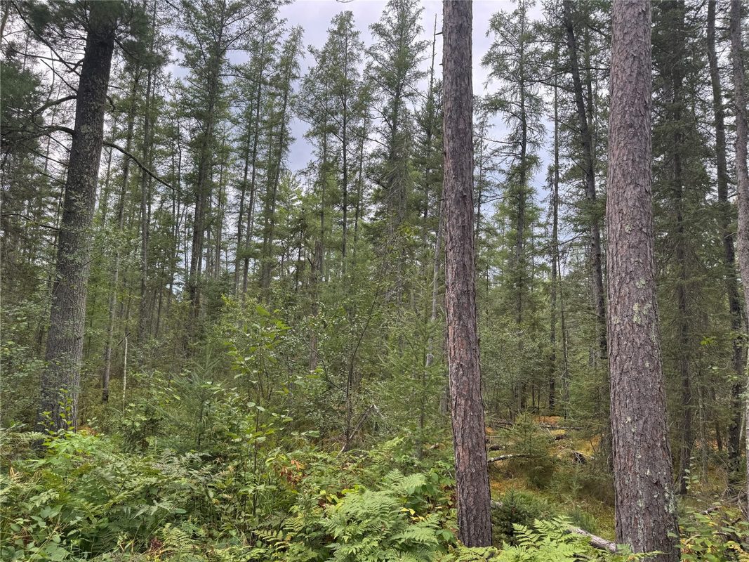 900 County Road A, Tomahawk WI 54487 - Land house for sale - MLS #1604619 - image38
