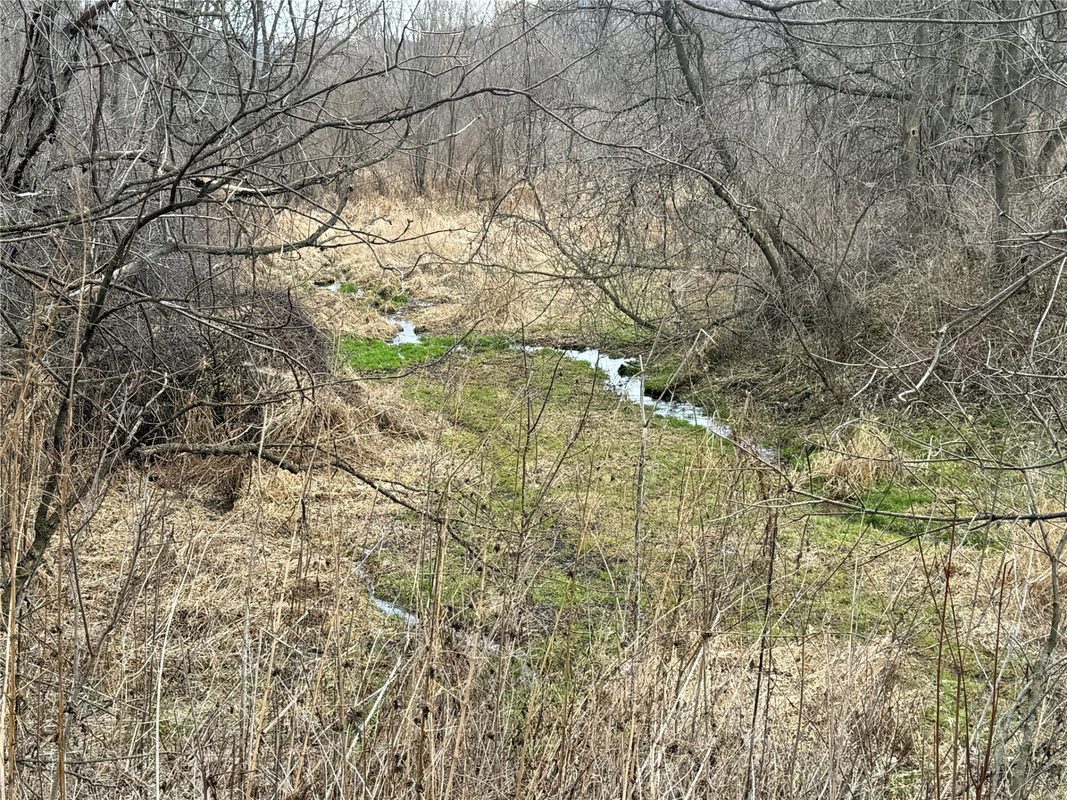 W1310 Earney Road, Alma WI 54610 - Residential house for sale - MLS #1604945 - image39