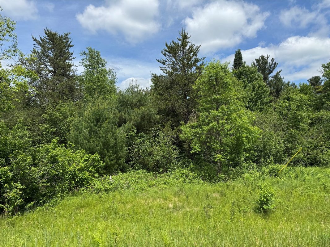 N 6398 Fred Tripp Road, Springbrook WI 54875 - Land house for sale - MLS #1602077 - image7