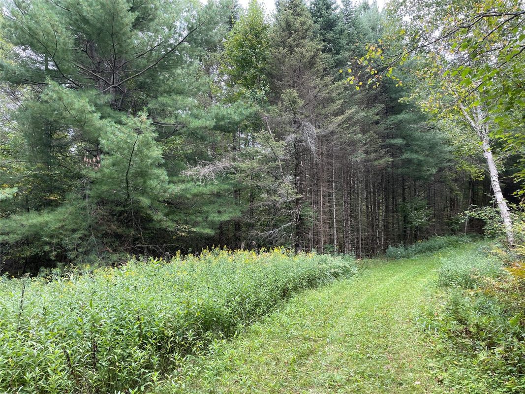 Lot 4 Hermosa Lane, Hayward, WI — photo 6