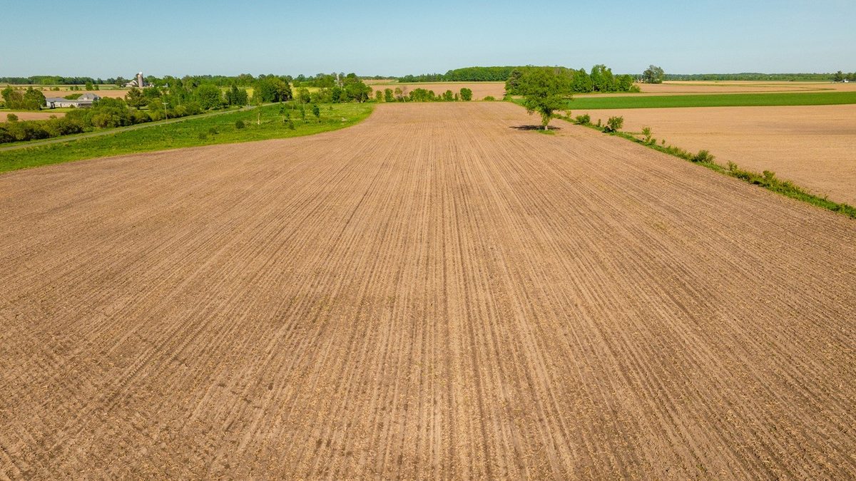 0 Nyes Road, Stanley WI 54768 - Land house for sale - MLS #1601802 - image18