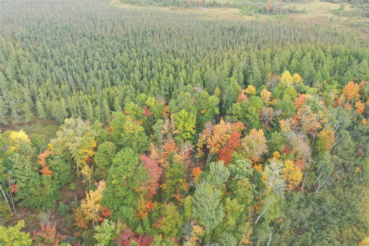 0 Klarquist Road, Webster WI 54840 - Land house for sale - MLS #1605651 - image5