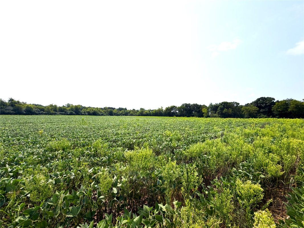 13.81 acres Van Tassel Road, Osseo WI 54758 - CommercialSale house for sale - MLS #1604127 - image13