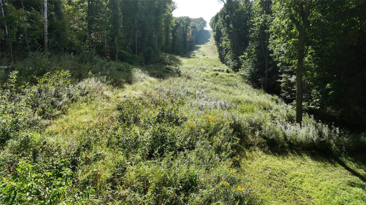 XX County Rd O, Boyceville WI 54725 - Land house for sale - MLS #1604881 - image17