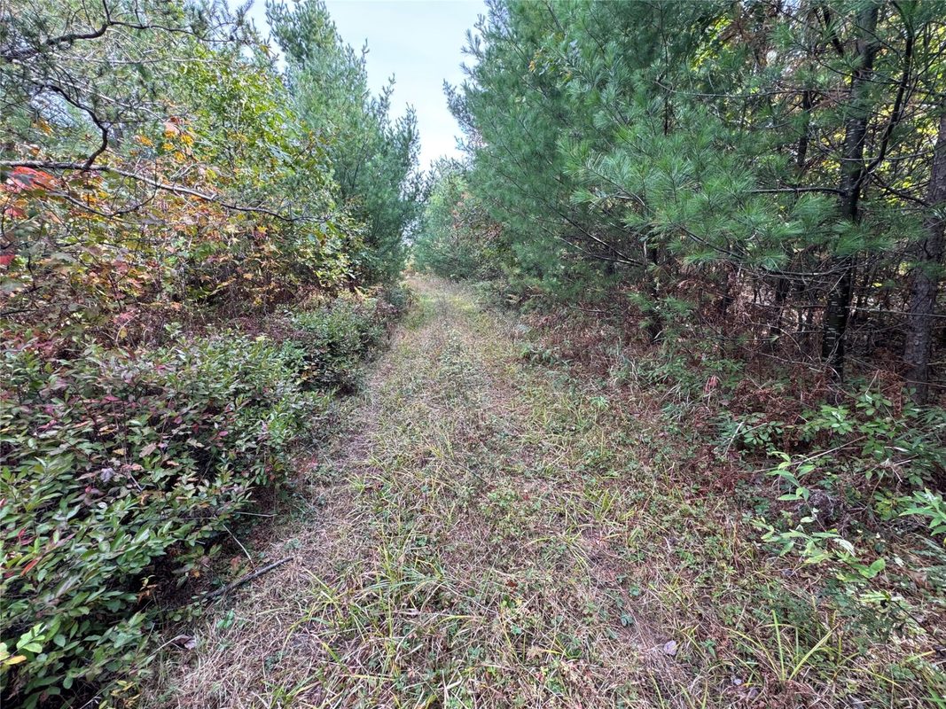 W4199 Ballard Road, Neillsville WI 54456 - Land house for sale - MLS #1605652 - image19