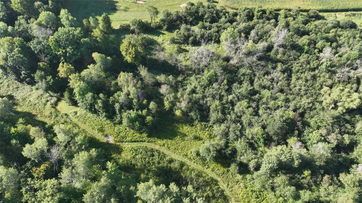 XX County Rd O, Boyceville WI 54725 - Land house for sale - MLS #1604881 - image10