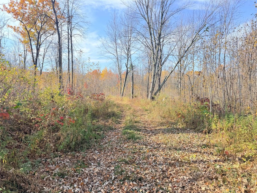 0 County Highway C, Rice Lake WI 54868 - Land house for sale - MLS #1605929 - image59