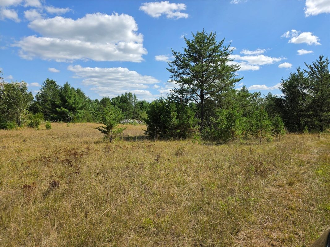 E19805 County Road GG, Augusta WI 54722 - Land house for sale - MLS #1602227 - image17