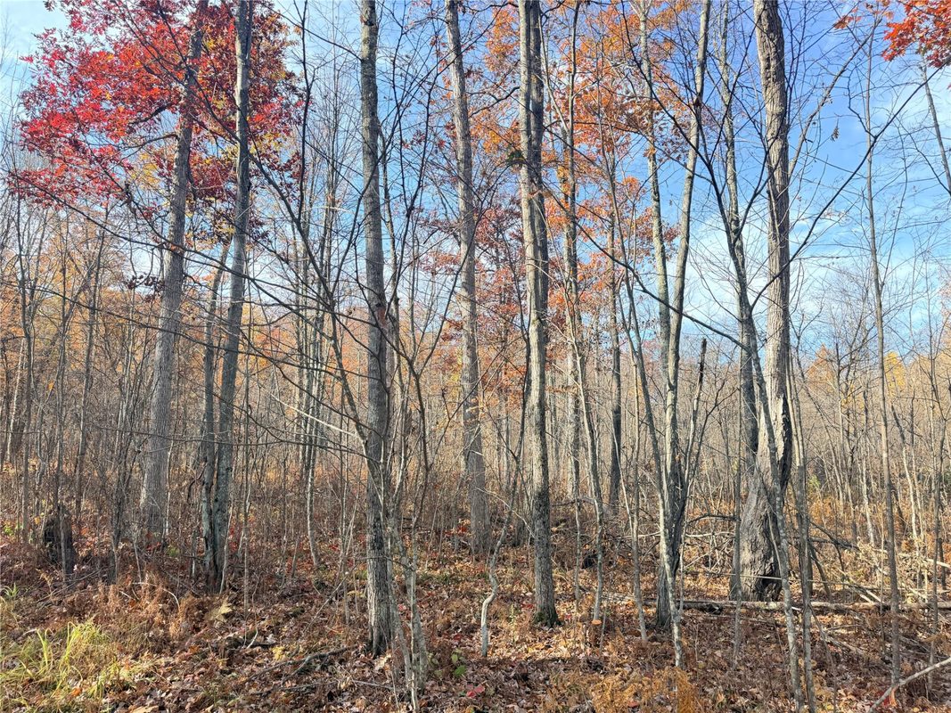 0 County Highway C, Rice Lake WI 54868 - Land house for sale - MLS #1605929 - image46