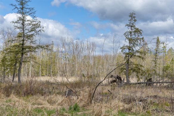 40 Acres Anderson Road & School Road, Glen Flora WI 54526 - Land house for sale - MLS #1601150 - image1