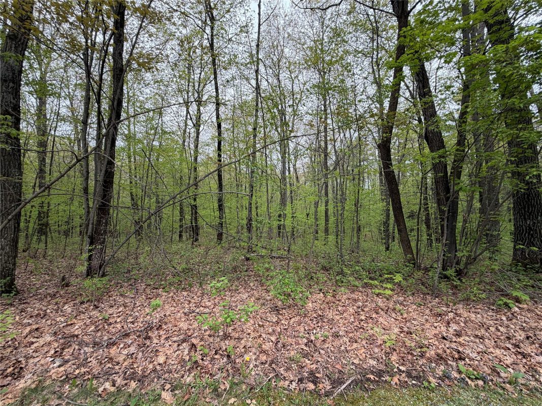 N 5543 County Hwy BB, Stone Lake WI 54876 - Residential house for sale - MLS #1601238 - image17