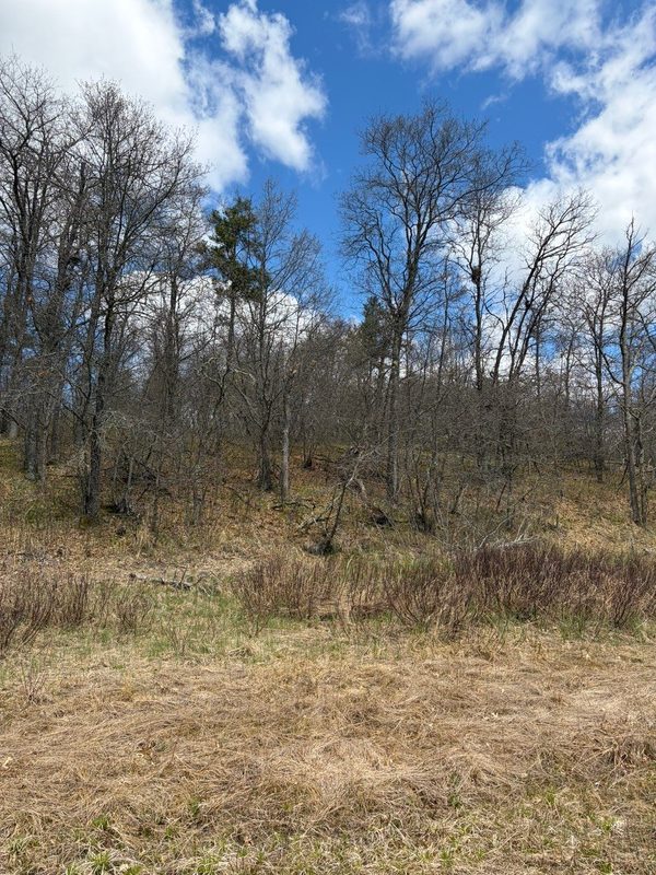Lot 2 Sleepy Eye Road, Minong WI 54859 - Land house for sale - MLS #1602148 - image4